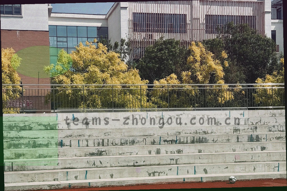 纸张叠层、圆形印章与细线边框组成的印刷质感构图